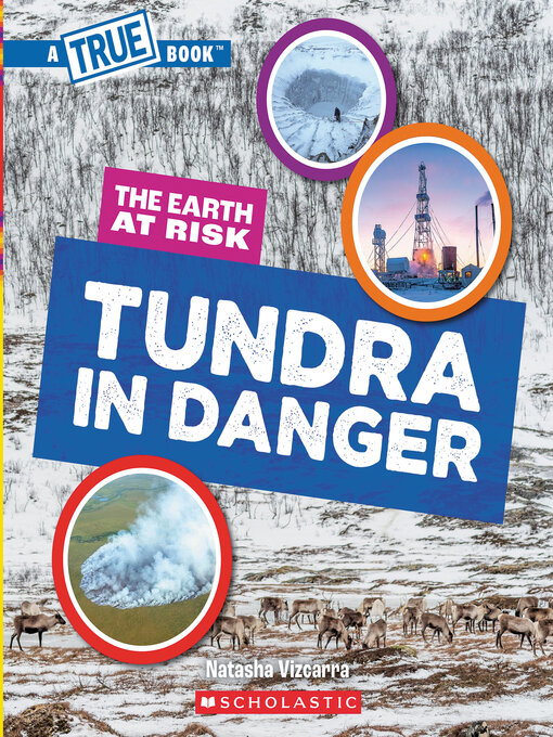 Title details for Tundra in Danger by Natasha Vizcarra - Available